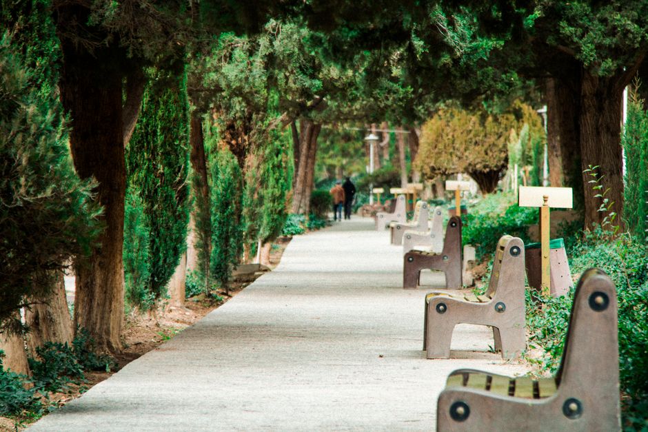 How to Enjoy Photography Walks With Limited Knee Tolerance